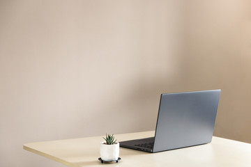 Fototapeta premium Beautiful side view of a laptop and a succulent plant on a desk. Concept of minimalism