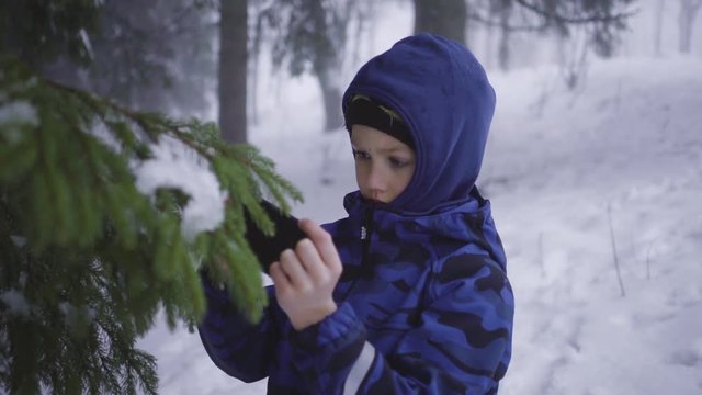 Young boy in dark blue jacket and black pants making photo with black smartphone of spruce branches - snowy mist in winter forest
