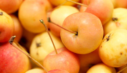 Ripe apples as background