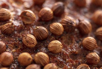 Sesame rye bread as a background