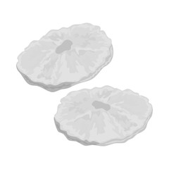 Vector illustration of pineapple and dry sign. Set of pineapple and tropical stock symbol for web.