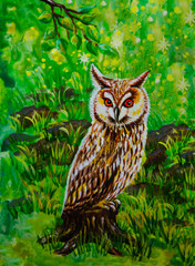 Owl sitting on the grass in the forest - watercolor painting