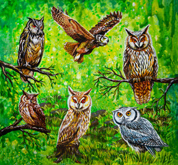 Many owls on the grass and branches on the background of abstract nature