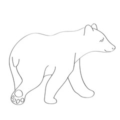 Bear flat illustration on white