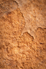 texture honey baked plate