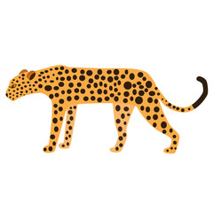 Leopard flat illustration on white