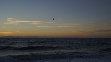 Fototapeta na wymiar ocean sunrise
