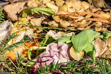 View into a bio container with various organic wastes for recycling.