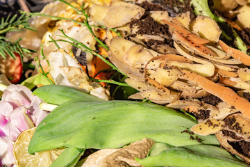 View into a bio container with various organic wastes for recycling.