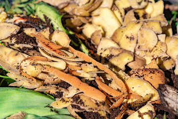 View into a bio container with various organic wastes for recycling.