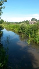 Morning landscape by the river