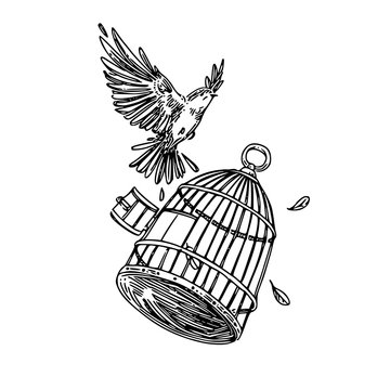 Bird flying out of the cage. Sketch. Engraving style. Vector illustration.