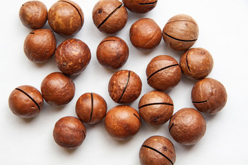 walnut on white background