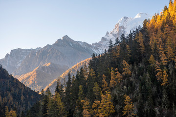 Beautiful view snow peak with  autumn leaves in  yading nature reserve, Sichuan, China.