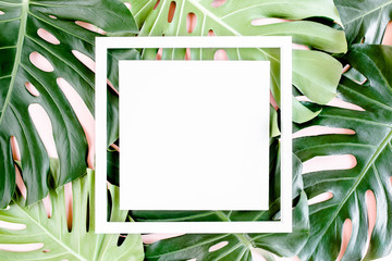 Texture tropical palm leaf Monstera and white frame for text on pink background. Flat lay, top view