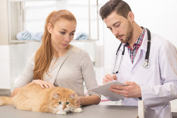 Handsome male vet talking to his female client