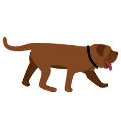 Dog flat illustration on white