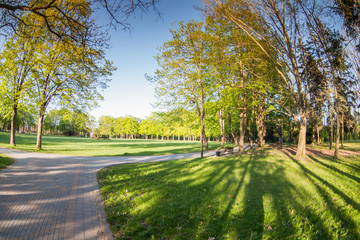 Obraz premium autumn in the park