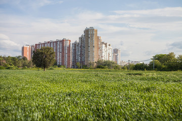 Obraz premium view of the city