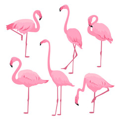 A set of pink flamingos in various poses