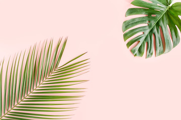 Tropical palm leaves on pink background. Flat lay, top view minimal concept.