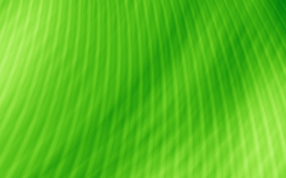 Texture green template image abstract background