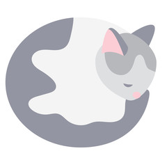 Sleeping cat flat illustration on white