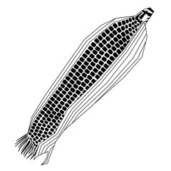 Corn flat illustration on white