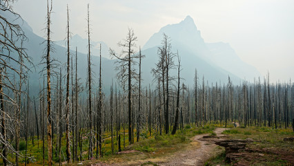 Exploring Glacier National Park in Montana with its Waterfalls, Landscape, Mountains and Forests 