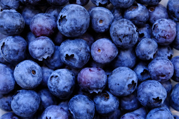 Great bilberry texture background