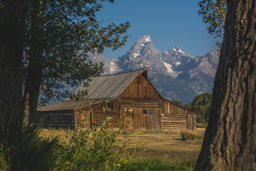 Tetons