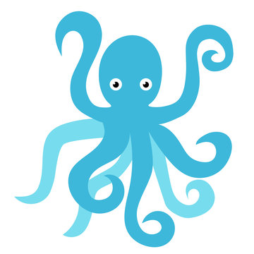 Octopus flat illustration on white
