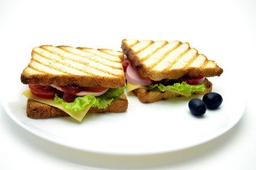 Sandwich on a white background in a plate
