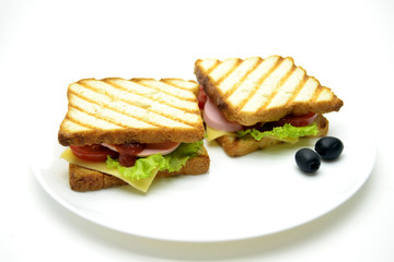 Sandwich on a white background in a plate