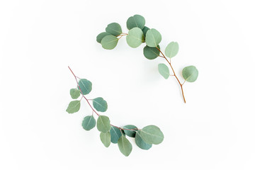 Wreath frame made of branches eucalyptus and leaves isolated on white background. lay flat, top view © K.Decor