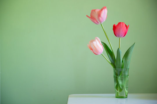 pink tulips on green