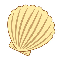 Shell flat illustration on white