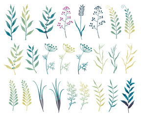 Vector set of branches, leaves, herbs with a watercolor effect. Garden and field plants.