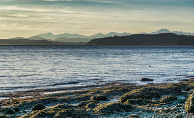 Puget Sound Mountain Landscape