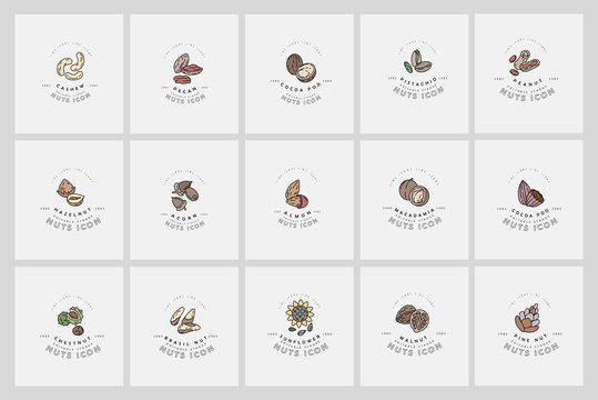 Vector icon and logo for nuts and seeds. Editable outline stroke size. Line flat contour, thin and linear design. Simple icons. Concept illustration. Sign, symbol, element.