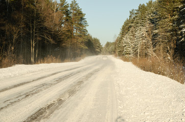 winter forest and snow road