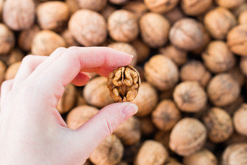 Walnut in woman hand, Hunan hands holding kernels of walnuts