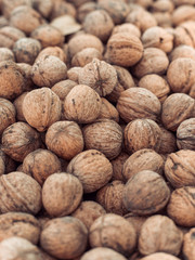 Natural walnut pattern texture, Raw bio walnuts background