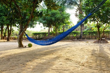 Hammock on beach Naturally, it makes for a relaxing holiday, a tree crate with natural green foliage on island