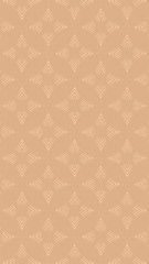 Ornate geometric pattern and two-tone abstract background