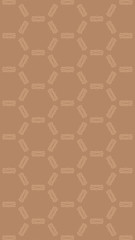 Ornate geometric pattern and two-tone abstract background