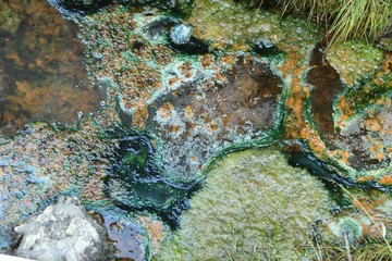 Old White stone wall with green moss texture background
