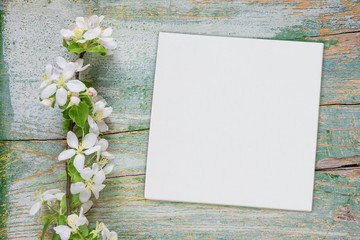 White flowers and paper sheet on blue wooden background