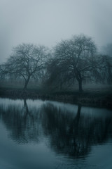 Trees in a park in heavy fog in winter reflected in a pond, Surrey, England, UK
