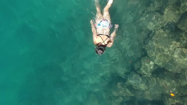 A female snorkeler in a bikini swimming along in the ocean